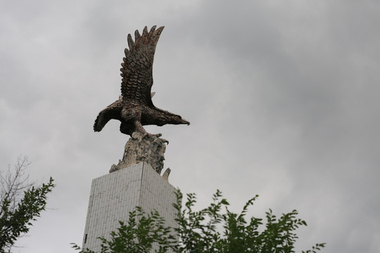 鹰击长空