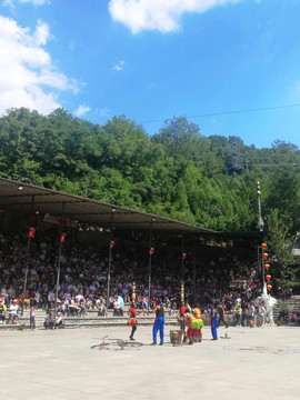 景区演出