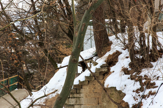 陕西华山雪景风光