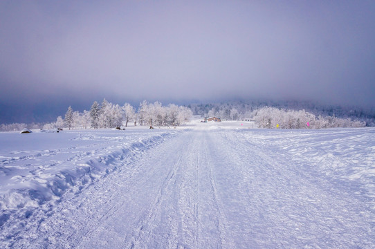 雪中的公路