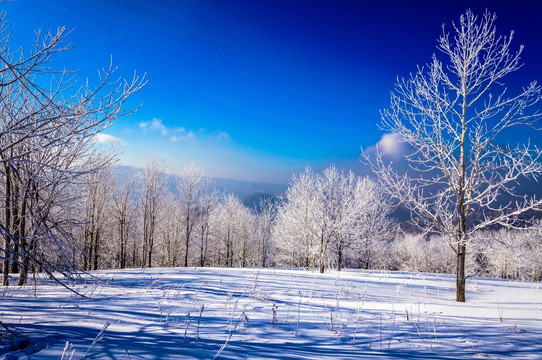 雪乡