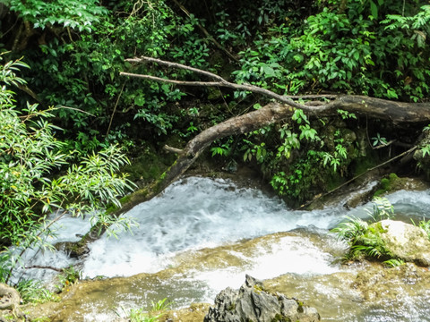 贵州响水河