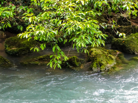 贵州响水河