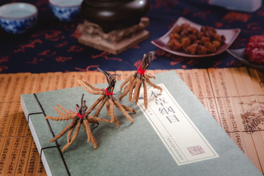 冬虫夏草