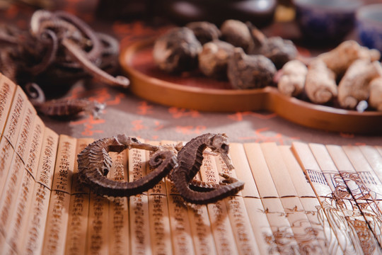 中药材