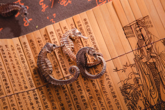 中药材
