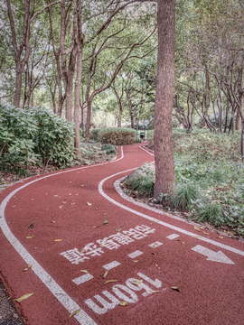 长宁步道