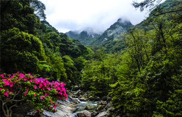石台风光