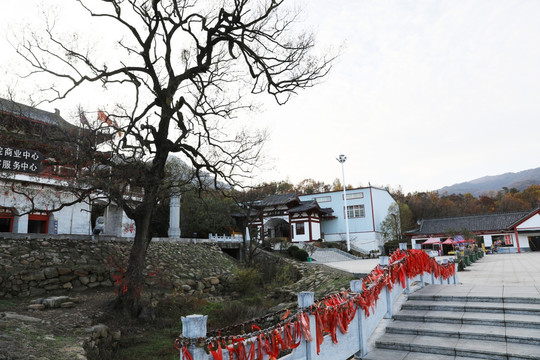 佛教学院