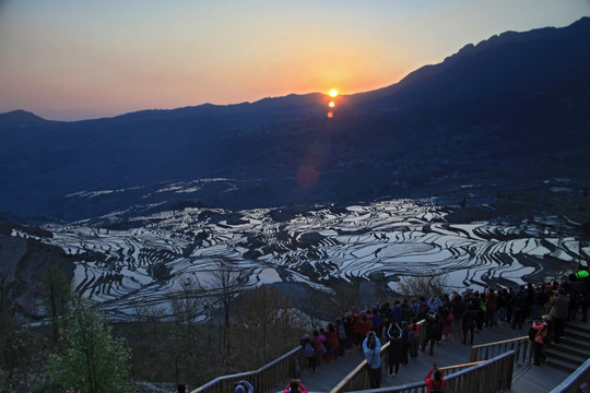 元阳哈尼梯田