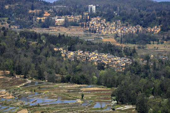 元阳哈尼梯田