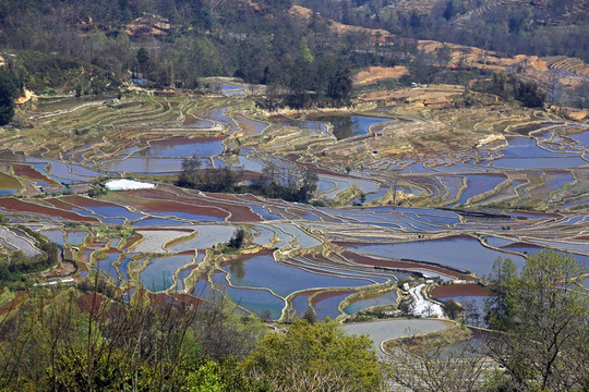 元阳哈尼梯田