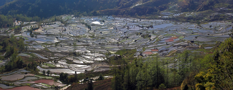 元阳哈尼梯田