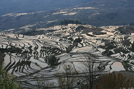 元阳哈尼梯田