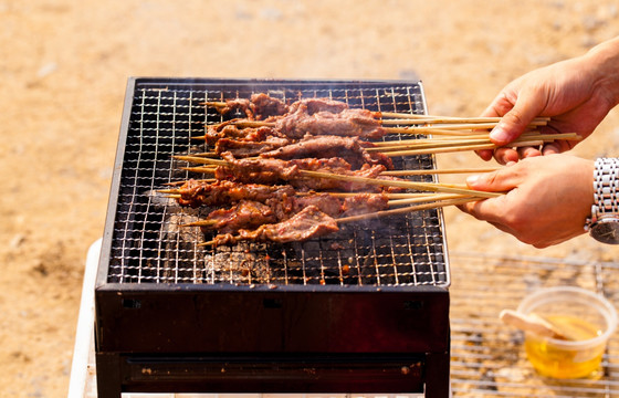 野炊烧烤