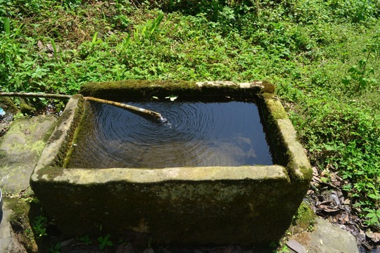 石水缸