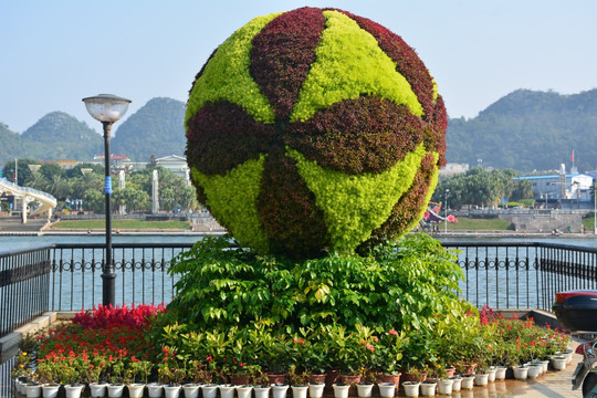 主题花坛