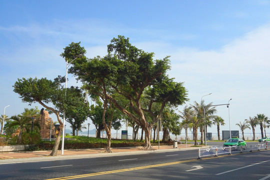 珠海情侣路风光吉大地区