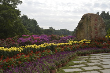 华南植物园花展