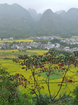 万峰林