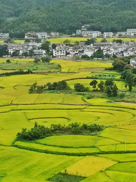 万峰林