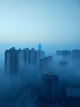 晨雾