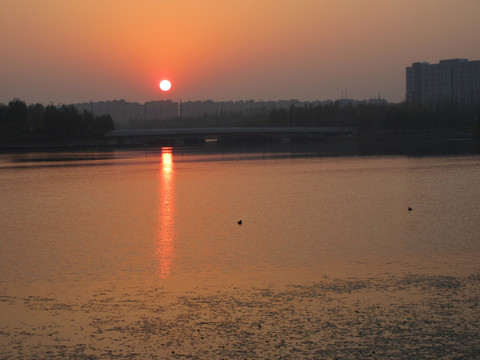 郑州龙子湖日出