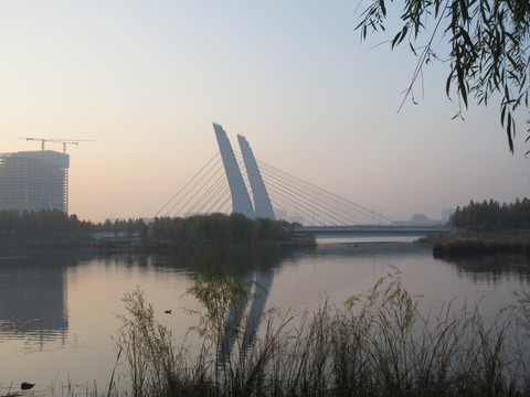 龙子湖斜拉索大桥
