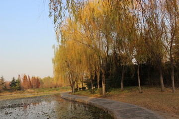 秋天的植物园