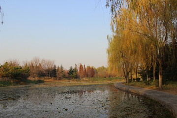 秋天的植物园