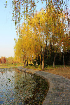 秋天的植物园