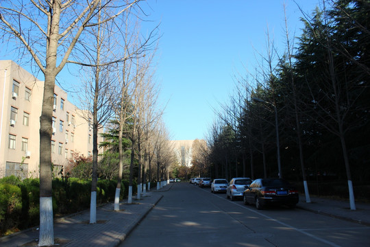 洛阳理工学院校园道路