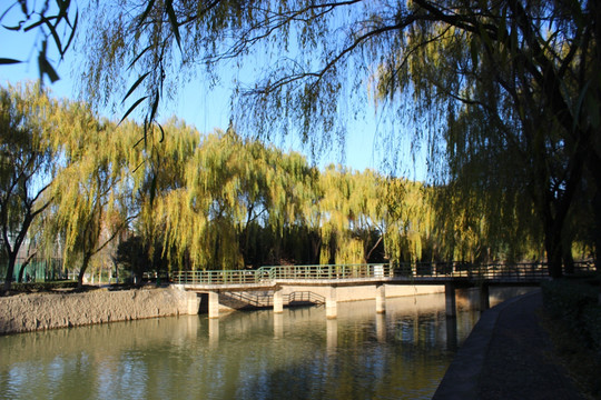 洛阳理工学院