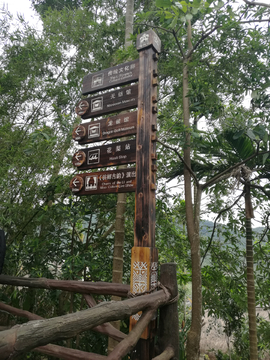 槟榔谷景区标识系统 三亚