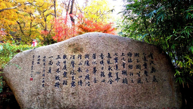 南京栖霞山秋色