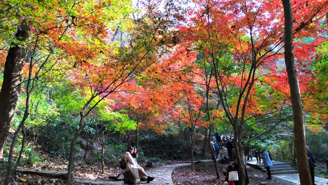 南京栖霞山秋色