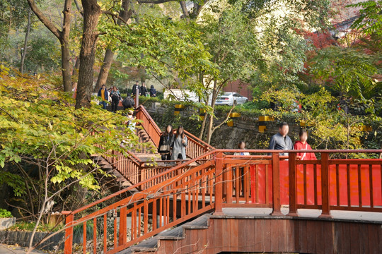 景观步道