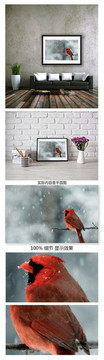 红色的鸟装饰画冬天鸟类装饰画