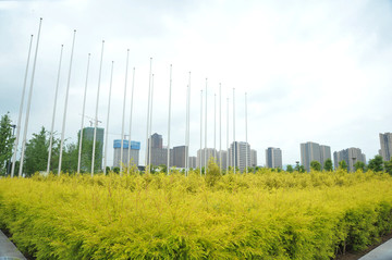 重庆西永广场生态绿地