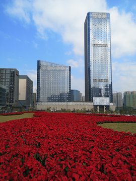 南宁五象区高层建筑