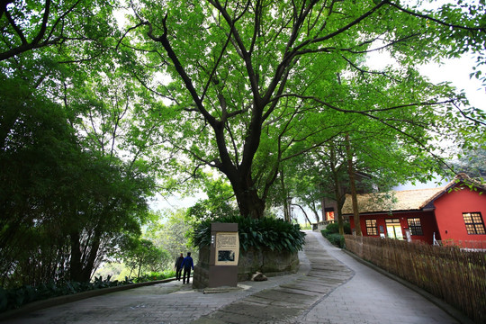 重庆红岩村