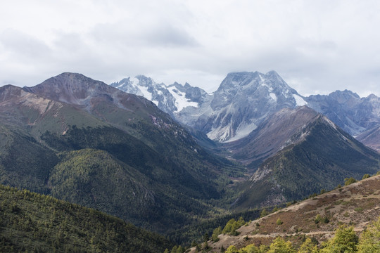 白马雪山