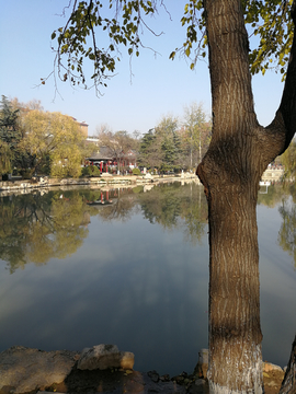 湖景