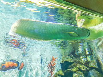 海洋水族馆