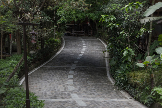 热带雨林景区