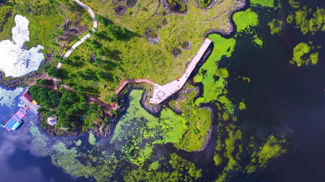 阿尔山杜鹃湖