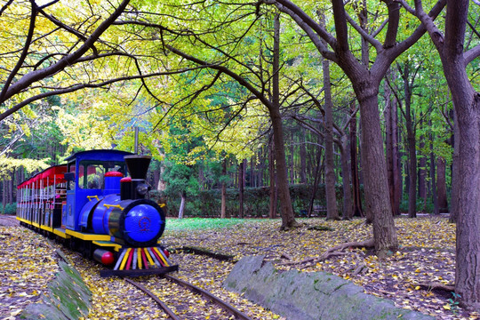 森林小火车