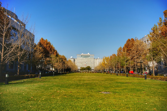 清华大学主楼及草坪