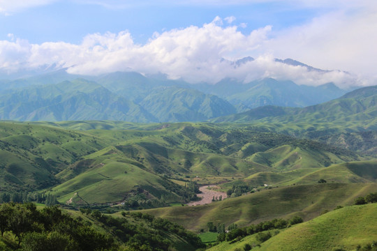 山顶风景