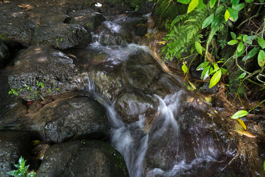 海南热带雨林溪谷